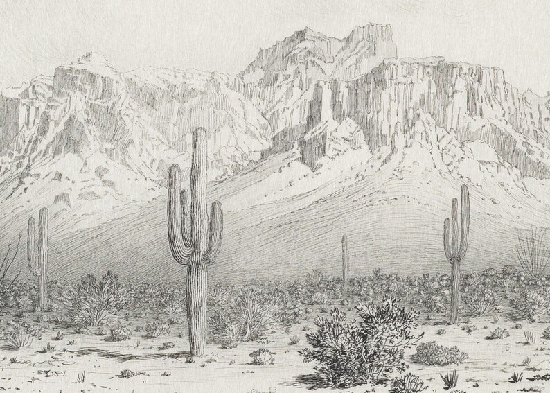 Puede incluir: Un dibujo a l&aacute;piz en blanco y negro de un paisaje des&eacute;rtico con altos cactus en primer plano y una cordillera en el fondo.