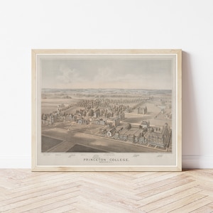 Princeton Universität New Jersey 1875 Vogelansicht Karte | Fine Art Druck