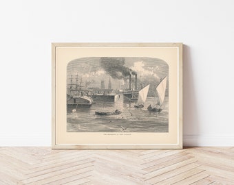 New Orleans Louisiana & Mississippi River view 1872 Engraving Illustration | Fine Art Print