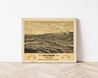 ロサンゼルス カリフォルニア州 1877年 鳥瞰図 | ファインアート