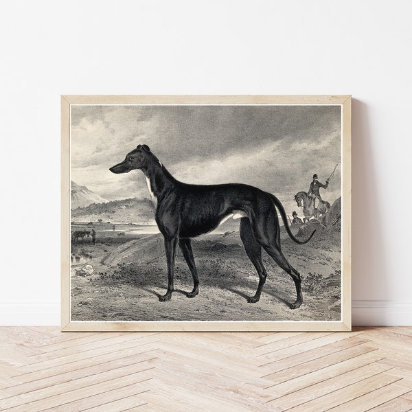 Greyhound Print Etsy