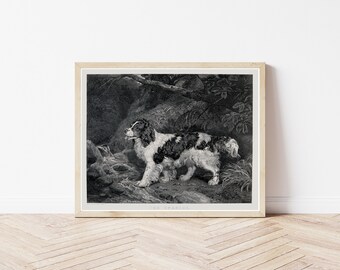 コッカー スパニエル犬の肖像画 1830 スチール彫刻イラスト | ファイン アート プリント