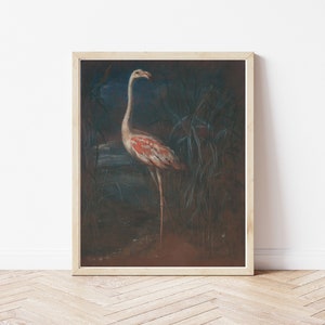 Flamingo Circa 1830 Oil Painting | Fine Art Print