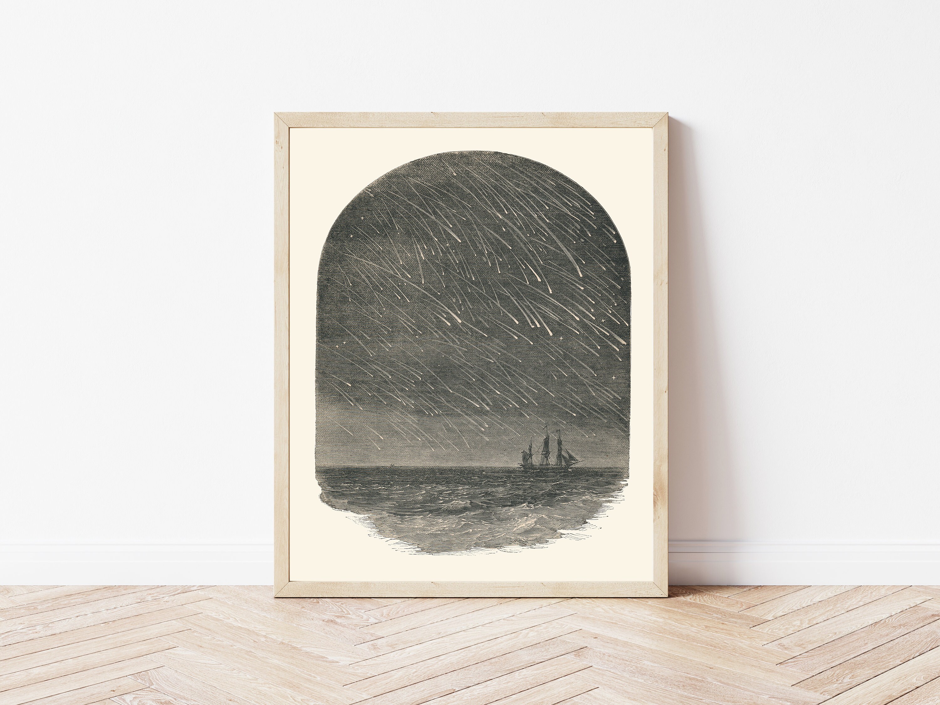 流星群 流れ星 1879 書籍イラスト | ファインアートプリント - Etsy 日本