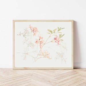 Azalee Blumen 1876 Aquarell Malerei | Fine Art Druck