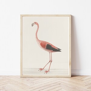 Flamingo 1766 Watercolor Painting | Fine Art Print
