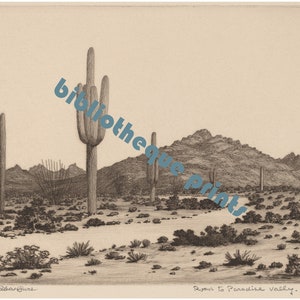 K&ouml;nnte beinhalten: Eine Schwarzwei&szlig;&auml;tzung einer W&uuml;stenlandschaft mit Saguaro-Kakteen und Bergen im Hintergrund. Der Titel "Road to Paradise Valley, Arizona" steht am unteren Rand des Bildes.