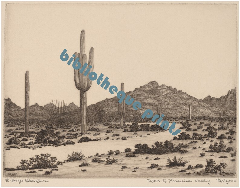 K&ouml;nnte beinhalten: Eine Schwarzwei&szlig;&auml;tzung einer W&uuml;stenlandschaft mit Saguaro-Kakteen und Bergen im Hintergrund. Der Titel "Road to Paradise Valley, Arizona" steht am unteren Rand des Bildes.