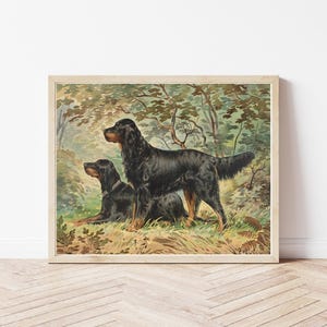 Gordon Setter Dogs Portrait 1880 Lithograph Illustration | Fine Art Print