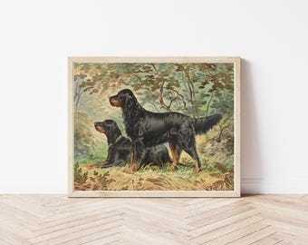 Gordon Setter Dogs Portrait 1880 Lithograph Illustration | Fine Art Print