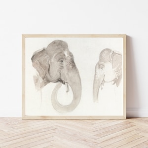 Elephants Circa 1840 Watercolor Painting | Fine Art Print