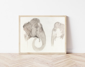 Elephants Circa 1840 Watercolor Painting | Fine Art Print