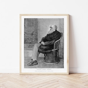 Charles Darwin Portrait 1883 Engraving | Fine Art Print