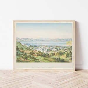 Wellington New Zealand View 1877 Lithograph Illustration | Fine Art Print