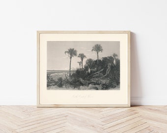 Florida Coast Nature Scene 1872 Steel Engraving | Fine Art Print