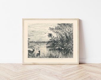 Florida Saint Johns River Nature Scene 1890 Engraving Illustration | Fine Art Print