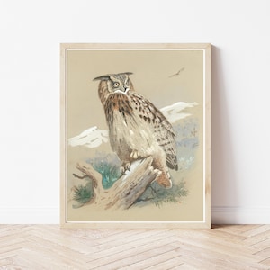 Owl 1916 Lithograph Illustration | Fine Art Print