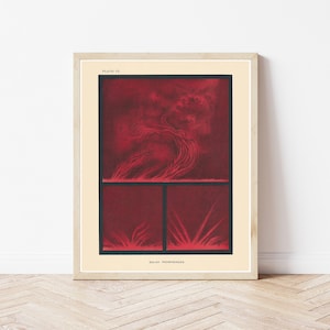 Solar Flares Sun Surface 1893 Astronomy Book Illustration | Fine Art Print