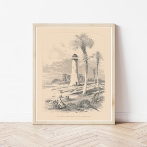 Florida Coast Saint Johns River Jacksonville 1872 Engraving Illustration | Fine Art Print