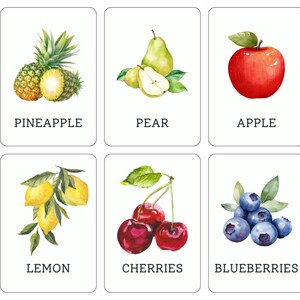 Flashcards de fruits colorés