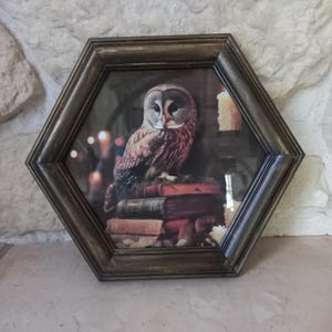 Pode incluir: Impressão emoldurada hexagonal com uma coruja detalhada empoleirada em cima de uma pilha de livros antigos. A coruja tem penas castanhas e brancas, e a moldura é de madeira escura e envelhecida. O fundo é desfocado com tons quentes.