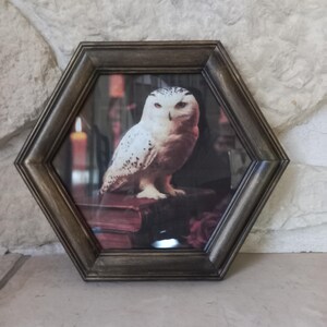 Moldura bacana, gabinete de curiosidades, criação original, com pátina.