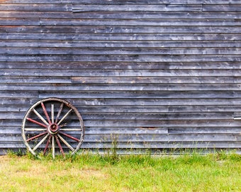 Digital Photography Green Screen Backdrops