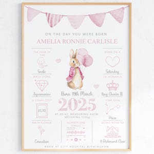 Op de dag dat je geboren werd Gepersonaliseerde babyaandenkenprint | Nieuw cadeau babymeisje | konijntje geboortedetails baby afdrukken