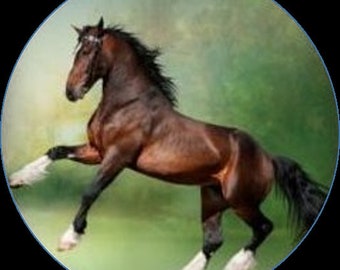 1 glass cabochon to choose from by size horse theme