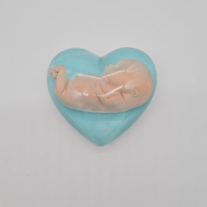 Corazón con embrión, aborto espontáneo, niño estrella, aborto espontáneo, embarazo