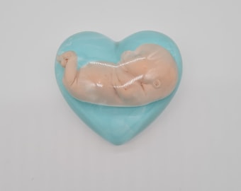 Heart with embryo, miscarriage, star child, miscarriage, pregnancy