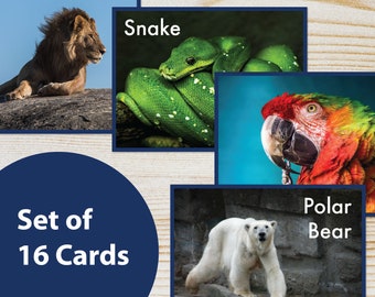 Printable Realistic Zoo Animal Flash Cards, Learning Cards - PDF Instant Download