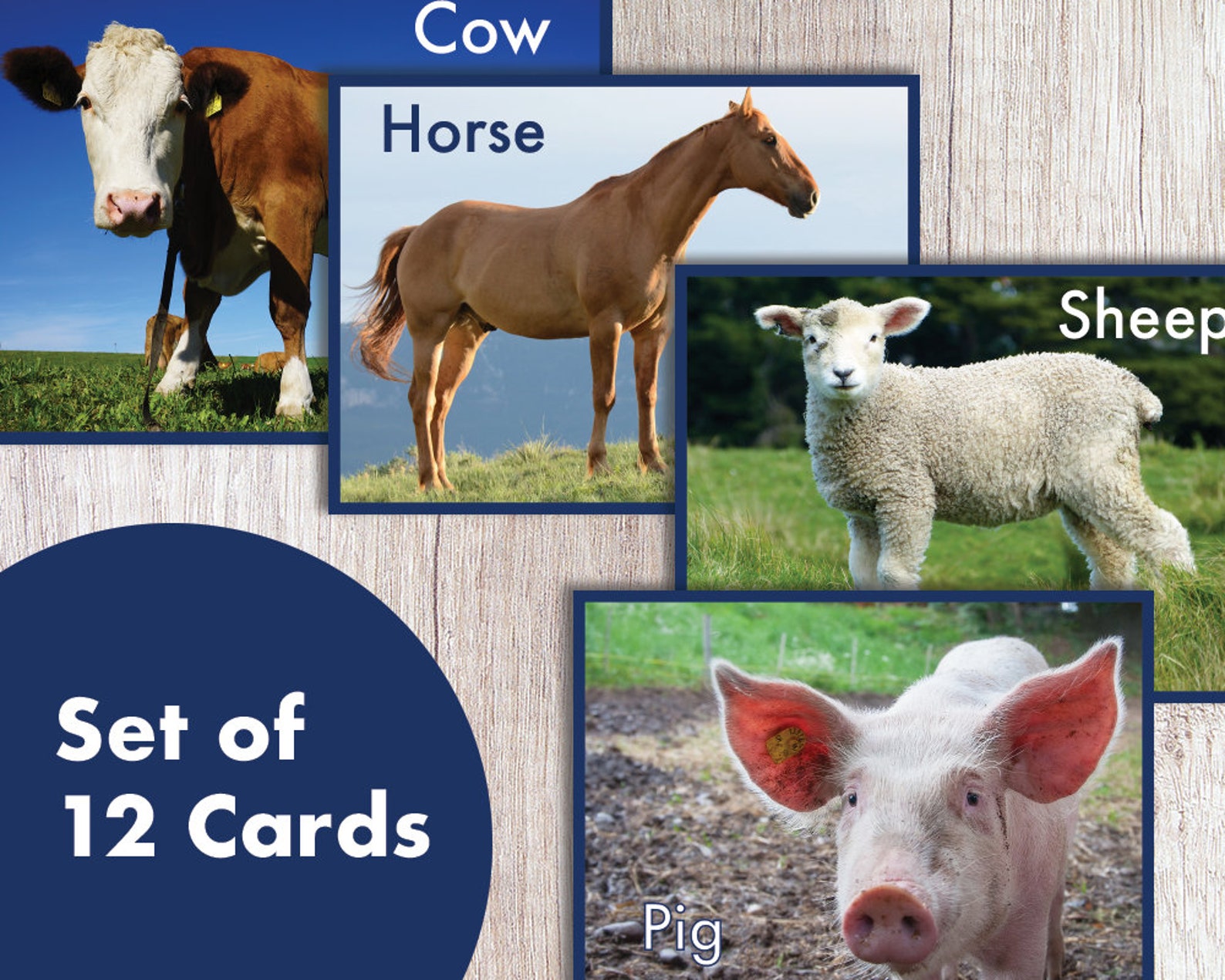 Printable Realistic Farm Animal Flash Cards Learning Cards PDF Instant 