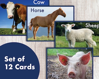 Tarjetas flash de animales de granja realistas imprimibles, tarjetas de aprendizaje - Descarga instantánea en PDF