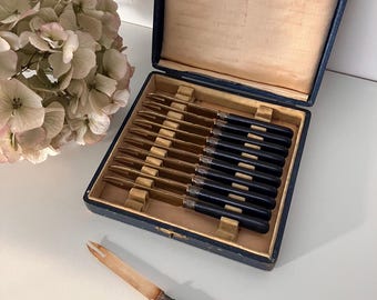 Set van 11 antieke fruitmessen (meloen, kaas) met vergulde lemmeten in een geschenkdoos - Antiek Frankrijk 1950 Lerosey