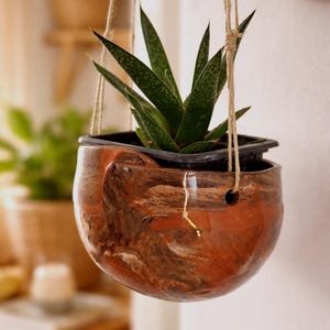 Op de afbeelding: Een hangende keramische plantenbak met een gevlekte groene vetplant. De plantenbak heeft een ronde vorm met een roodbruine gemarmerde afwerking. Hij wordt opgehangen met natuurlijk touw.