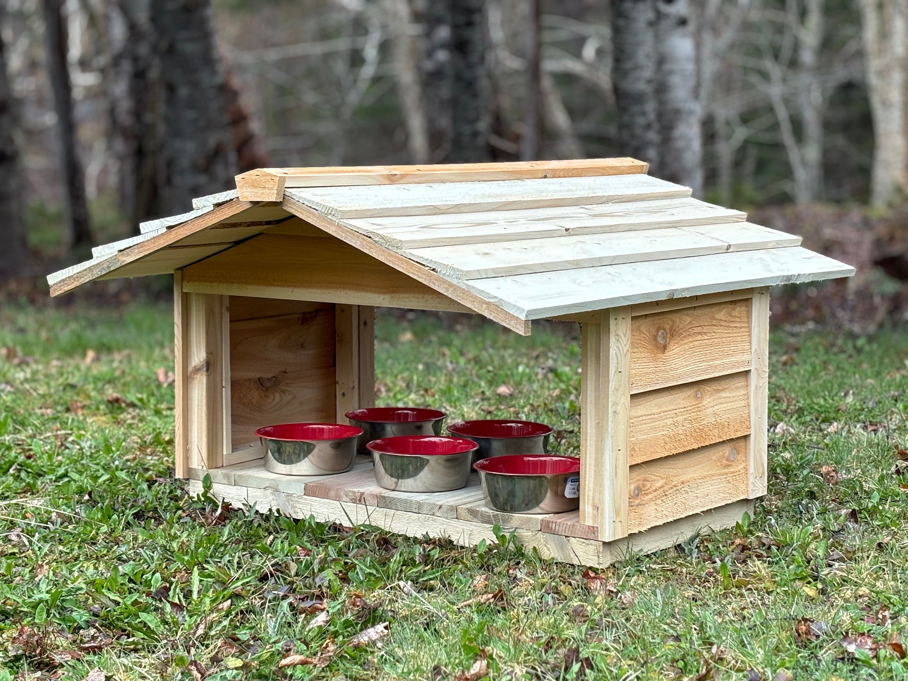 Large Outdoor Food Shelter for Feral Cat Colony FEED UP to 8 CATS Etsy