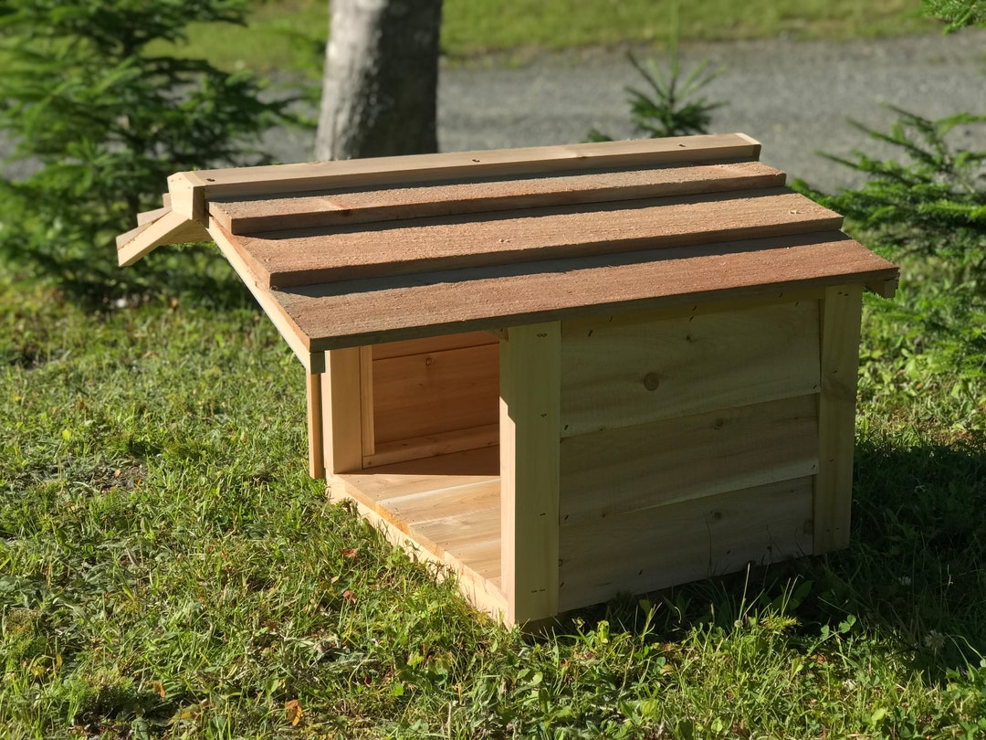 Outdoor Feeding Station With Extended Roofsmall Cat Food Etsy