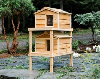 Outdoor Double Decker Cat House - Perfect for Feral Cat Colonies!