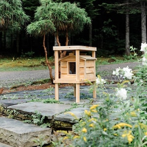 Small Outdoor Cat House with Raised Deck and Loft – Insulated Feral Cat Shelter for Summer and Winter