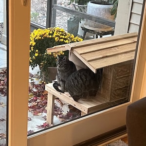 May include: A gray tabby cat sitting on a wooden cat house with a roof. The cat house is in front of a window with a view of a yard with yellow flowers.