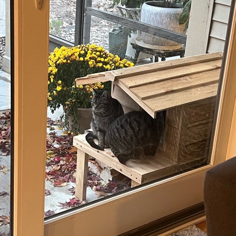 May include: A gray tabby cat sitting on a wooden cat house with a roof. The cat house is in front of a window with a view of a yard with yellow flowers.