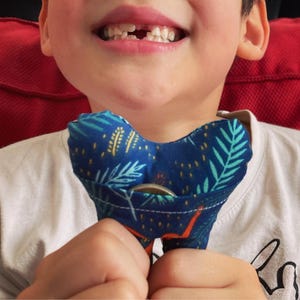 May include: A child holds a blue and green heart-shaped fabric pouch with a coin inside. The pouch has a pocket with a flap.