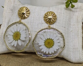 Dangling earring in resin and gold stainless steel for Women. Daisy earrings, white flowers, gift for her.