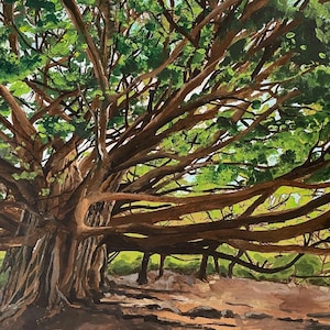 Banyan Tree in Maui, Hawaii. Purchased in either a 5”x7”,8”x10”, 11"x14", or 13"x19" print". Comes with the option for a matte or no matte.