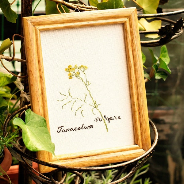 Tansy flower cross stitch pattern Tansy flower pdf pattern Yellow flower cross stitch design Botanical pattern Counted cross stitch design