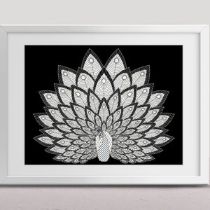 May include: A black and white line art illustration of a peacock with its feathers spread out in a fan shape.