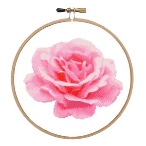 Pink rose cross stitch pattern Flower cross stitch Nature cross stitch Rose pdf pattern Modern cross stitch Rose in hoop Pink rose design