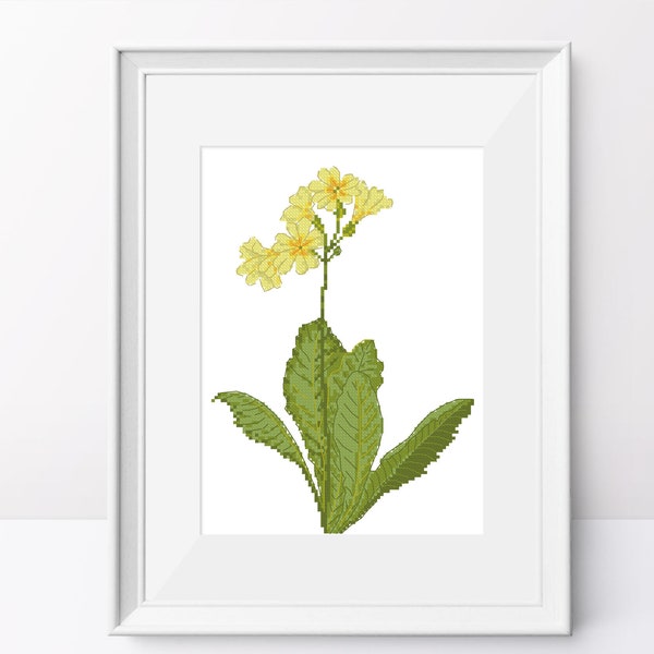 Yellow primrose cross stitch pattern Primrose flower pdf Yellow flower cross stitch design Tender flower cross stitch Botanical cross stitch