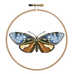 Brown blue butterfly cross stitch pattern Insect cross stitch Butterfly pdf pattern Summer cross stitch Modern cross stitch Butterfly design